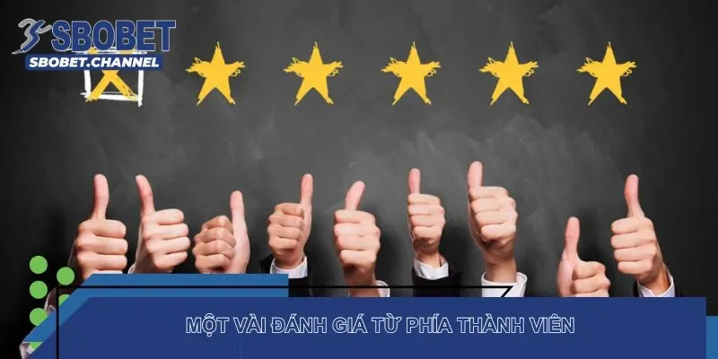 Một vài đánh giá từ phía thành viên